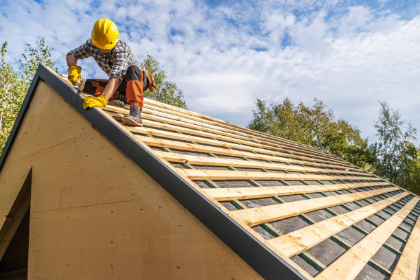 Best Roof Gutter Cleaning  in Winder, GA